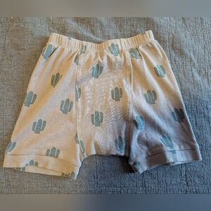 Kate Quinn Brown and Green Cactus Shorts